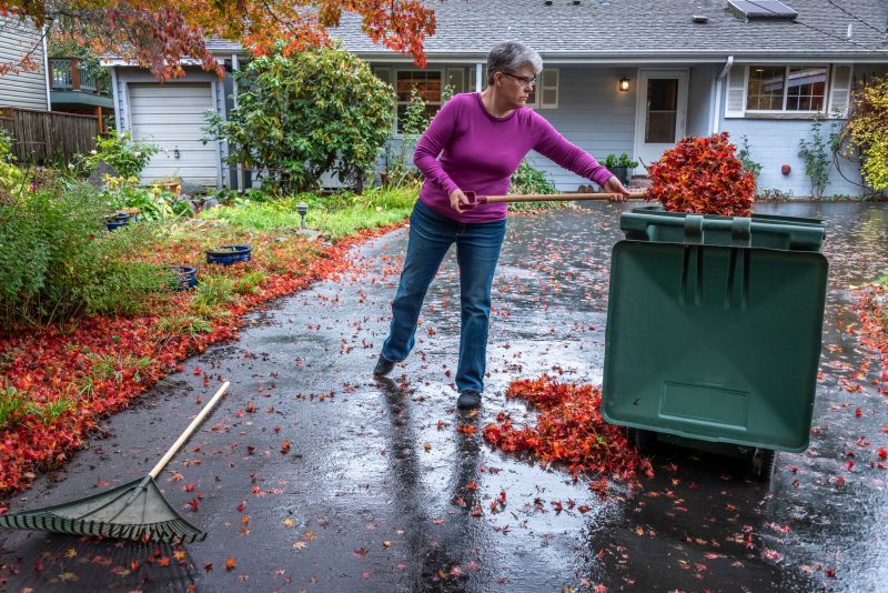 Seasonal Leaf Clearing