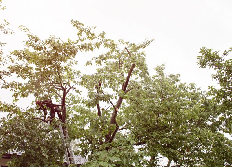 Space-Smart Ideas — For Small Spaces