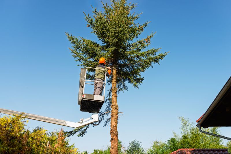 Equipment for Tree Trimming