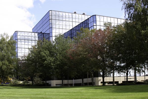 Commercial Tree Trimming in Des Moines